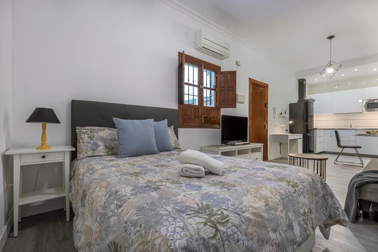 Apartament Estudio Calle Banos Sewilla