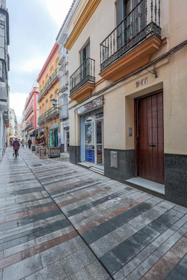 Estudio Calle Banos Seville